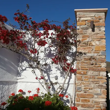 מלון דירות Galini Bangalows קיוניה